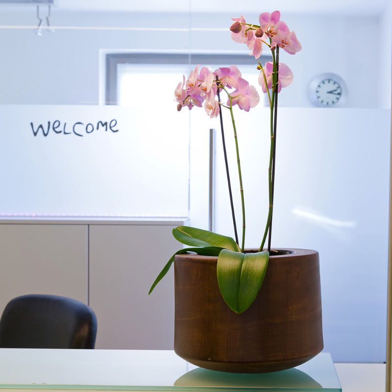 Best Dentist in Kolkata in Best Dental Clinic in Kolkata at Dentotsav Dental Clinic